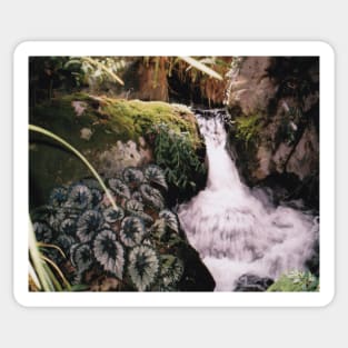 How adorable is this mini waterfall?! Sticker